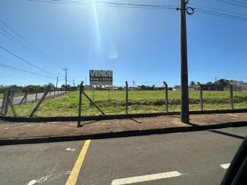 Terreno / Padrão em São José do Rio Preto 