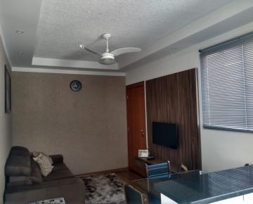 Apartamento / Padrão em São José do Rio Preto 