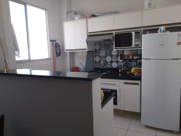 Alugar Apartamento / Padrão em São José do Rio Preto R$ 950,00 - Foto 2