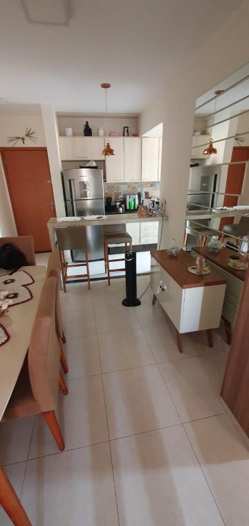 Comprar Apartamento / Padrão em São José do Rio Preto R$ 330.000,00 - Foto 15