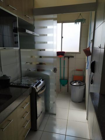 Comprar Apartamento / Padrão em São José do Rio Preto apenas R$ 200.000,00 - Foto 28