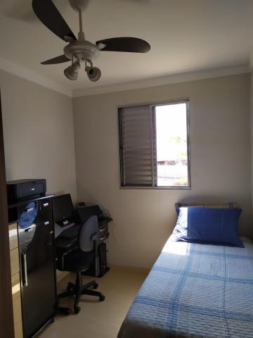 Comprar Apartamento / Padrão em São José do Rio Preto apenas R$ 200.000,00 - Foto 29