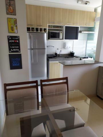 Comprar Apartamento / Padrão em São José do Rio Preto apenas R$ 200.000,00 - Foto 43