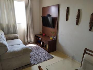 Comprar Apartamento / Padrão em São José do Rio Preto R$ 200.000,00 - Foto 48