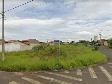 Comprar Terreno / Padrão em São José do Rio Preto R$ 75.000,00 - Foto 1