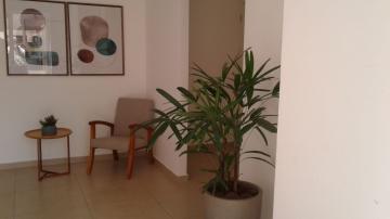 Alugar Apartamento / Padrão em São José do Rio Preto R$ 1.200,00 - Foto 50