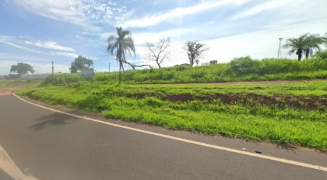 Alugar Terreno / Área em São José do Rio Preto. apenas R$ 5.000.000,00
