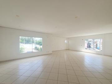 Alugar Comercial / Sala em São José do Rio Preto. apenas R$ 3.800,00