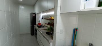 Comprar Apartamento / Padrão em São José do Rio Preto R$ 265.000,00 - Foto 1