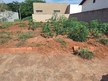 imagem 2 - Terreno - Padrão imagem 2 - Terreno - Padrão