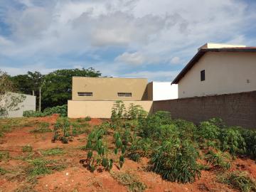 Terreno / Padrão em São José do Rio Preto 