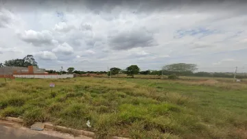 Terreno / Padrão em São José do Rio Preto 