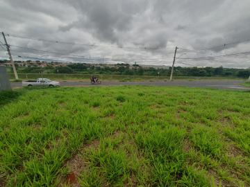 Comprar Terreno / Padrão em São José do Rio Preto R$ 125.000,00 - Foto 4