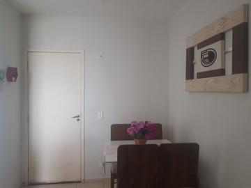 imagem 2 - Apartamento Venda Parque Rio Dourado imagem 2 - Apartamento Venda Parque Rio Dourado