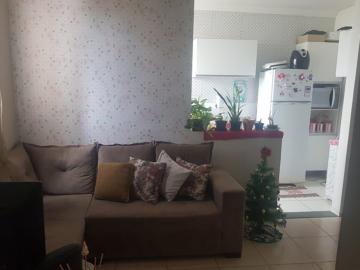imagem 1 - Apartamento Venda Parque Rio Dourado imagem 1 - Apartamento Venda Parque Rio Dourado