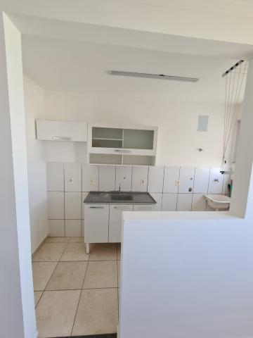 Alugar Apartamento / Padrão em São José do Rio Preto R$ 1.200,00 - Foto 14
