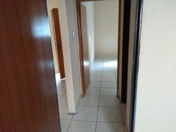 imagem 4 - Casa - Padrão imagem 4 - Casa - Padrão