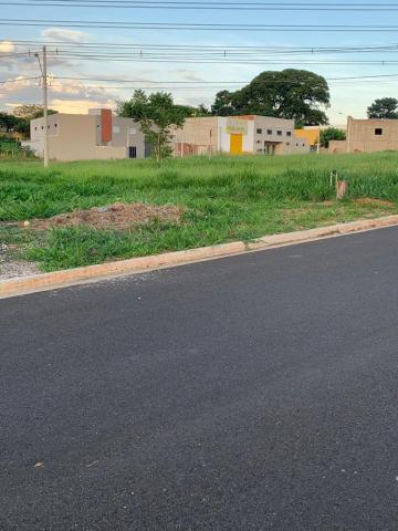 imagem 5 - Terreno Comercial ou Residencial Venda Jardim Tangara Bady Bassitt imagem 5 - Terreno Comercial ou Residencial Venda Jardim Tangara Bady Bassitt