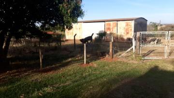 Alugar Rural / Sítio em Ipiguá. apenas R$ 2.000.000,00