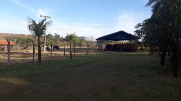 imagem 2 - Sítio 5.8 hectares Ipiguá imagem 2 - Sítio 5.8 hectares Ipiguá