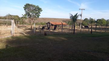 imagem 3 - Sítio 5.8 hectares Ipiguá imagem 3 - Sítio 5.8 hectares Ipiguá