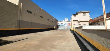 Alugar Comercial / Salão em São José do Rio Preto R$ 25.000,00 - Foto 14