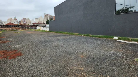 Alugar Terreno / Padrão em São José do Rio Preto.