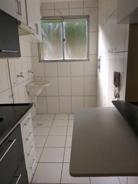 Alugar Apartamento / Padrão em São José do Rio Preto R$ 900,00 - Foto 14