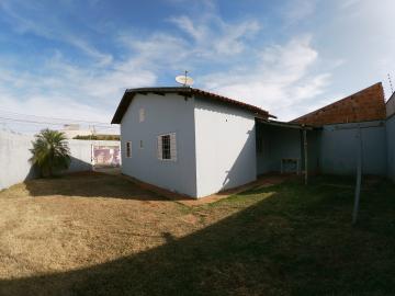 Alugar Casa / Padrão em São José do Rio Preto R$ 800,00 - Foto 19