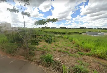 Terreno / Padrão em São José do Rio Preto 