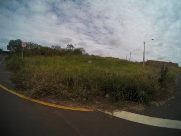imagem 5 - Ótimo terreno em esquina de Avenida de grande fluxo - Rio Preto imagem 5 - Ótimo terreno em esquina de Avenida de grande fluxo - Rio Preto