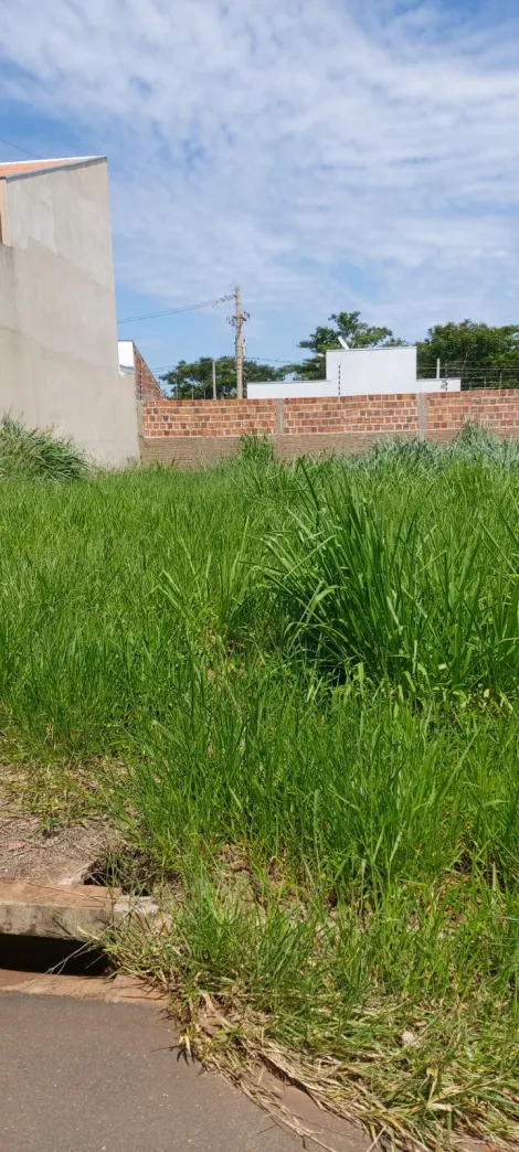 Comprar Terreno / Padrão em Bady Bassitt R$ 100.000,00 - Foto 5