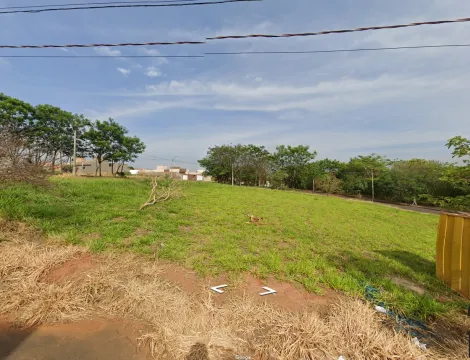 Terreno / Padrão em Bady Bassitt 