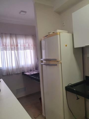 imagem 4 - Ótimo Apartamento Mobiliado para Locação imagem 4 - Ótimo Apartamento Mobiliado para Locação