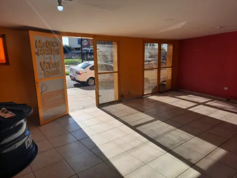 Alugar Comercial / Salão em São José do Rio Preto R$ 8.000,00 - Foto 3