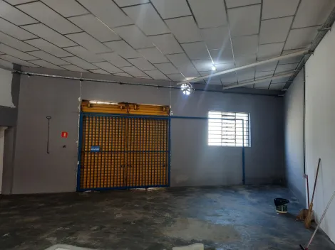 Alugar Comercial / Salão em São José do Rio Preto. apenas R$ 8.000,00
