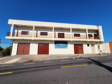 Alugar Comercial / Salão em São José do Rio Preto. apenas R$ 1.650,00