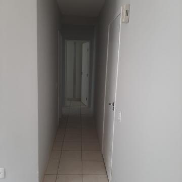 Alugar Apartamento / Padrão em São José do Rio Preto R$ 900,00 - Foto 2