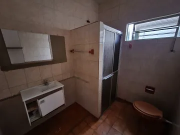 Alugar Casa / Padrão em São José do Rio Preto R$ 1.300,00 - Foto 15