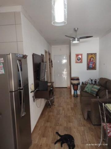 Comprar Casa / Condomínio em São José do Rio Preto apenas R$ 285.000,00 - Foto 5