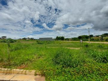 Comprar Terreno / Padrão em São José do Rio Preto apenas R$ 168.000,00 - Foto 2