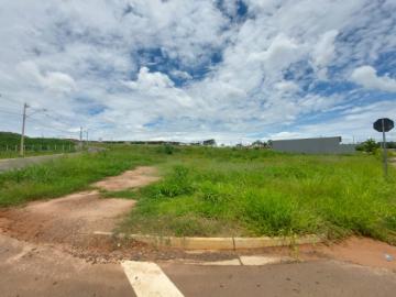 Comprar Terreno / Padrão em São José do Rio Preto R$ 168.000,00 - Foto 4