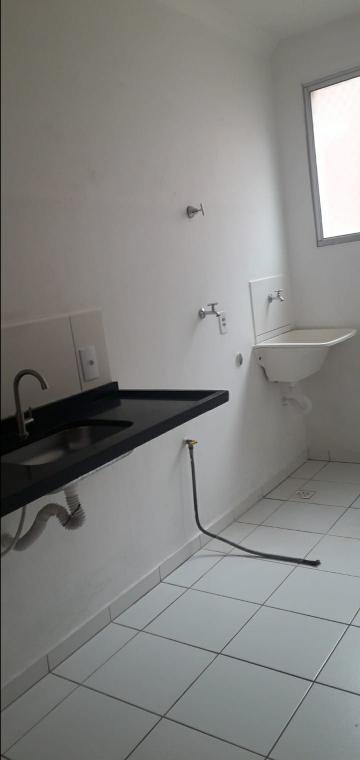 Alugar Apartamento / Padrão em São José do Rio Preto apenas R$ 950,00 - Foto 3