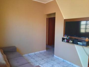 Alugar Casa / Padrão em São José do Rio Preto. apenas R$ 290.000,00