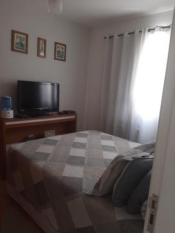 imagem 2 - Apartamento - Padrão imagem 2 - Apartamento - Padrão