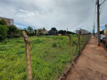 Comprar Terreno / Área em São José do Rio Preto - Foto 3