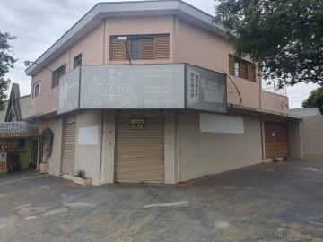 imagem 3 - Vila Ercilia imagem 3 - Vila Ercilia