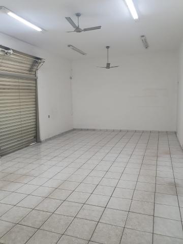 imagem 4 - Vila Ercilia imagem 4 - Vila Ercilia