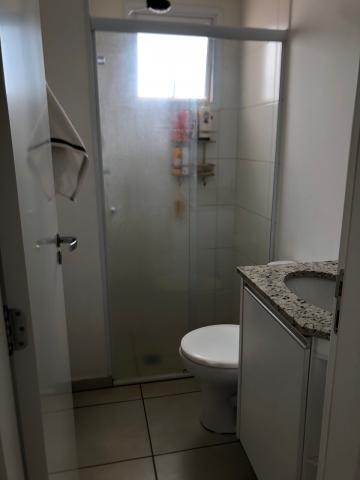 Alugar Apartamento / Padrão em São José do Rio Preto apenas R$ 2.200,00 - Foto 20