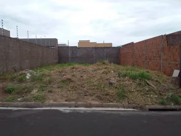 Comprar Terreno / Padrão em São José do Rio Preto R$ 150.000,00 - Foto 4